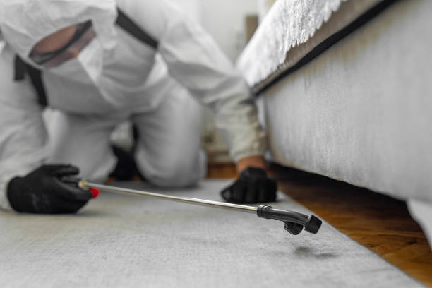 Professional Pest Control technician working in Parkway, CA