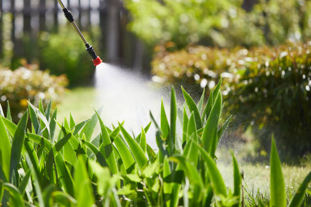 24/7 Emergency Pest Control experts in Parkway, CA